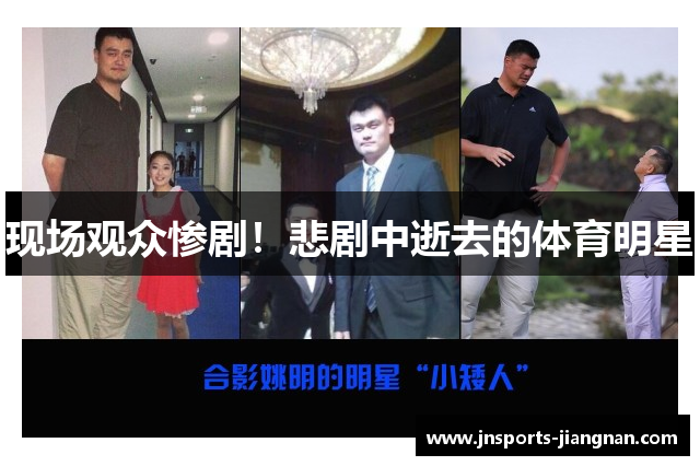 现场观众惨剧！悲剧中逝去的体育明星