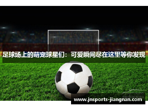 足球场上的萌宠球星们：可爱瞬间尽在这里等你发现